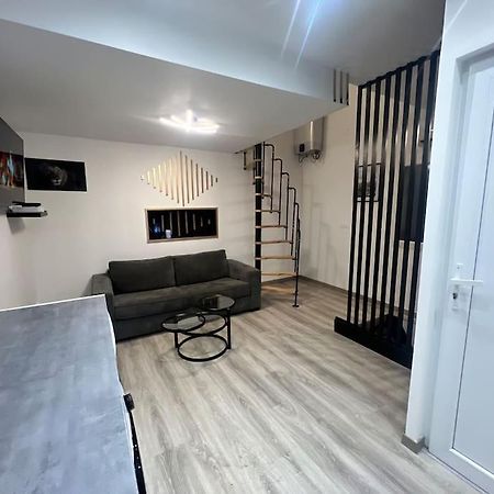 Maison Appartement Triplex Avec Jacuzzi Et Sauna Saint-Etienne  Eksteriør bilde