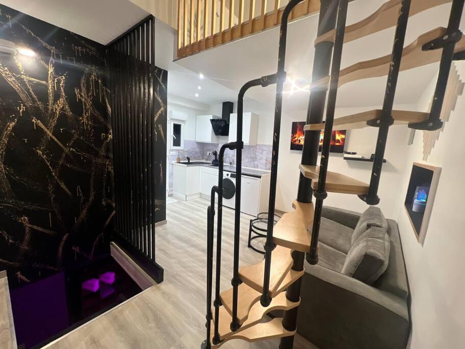 Maison Appartement Triplex Avec Jacuzzi Et Sauna Saint-Etienne  Eksteriør bilde